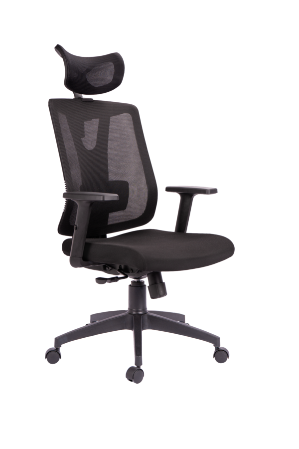silla monteria