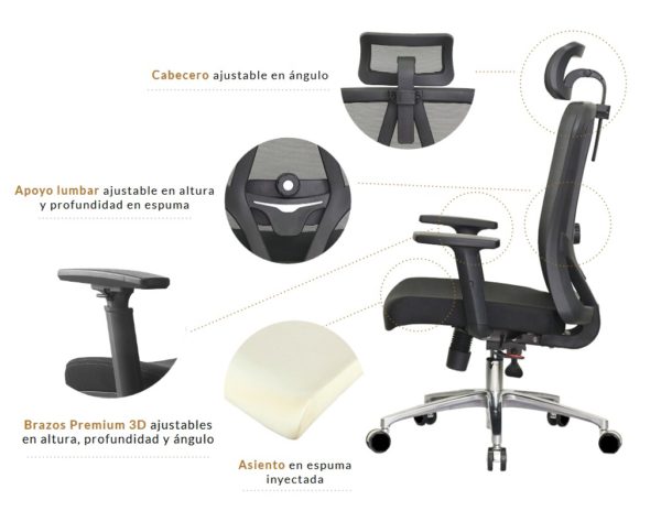 SILLA FARASI - Imagen 4